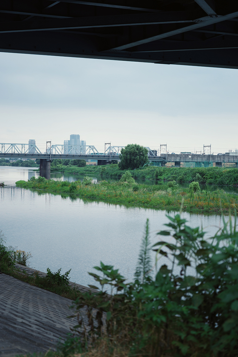 野口 花梨 Karin Noguchi×NIKKOR Z 24-70mm f/2.8 S II作品