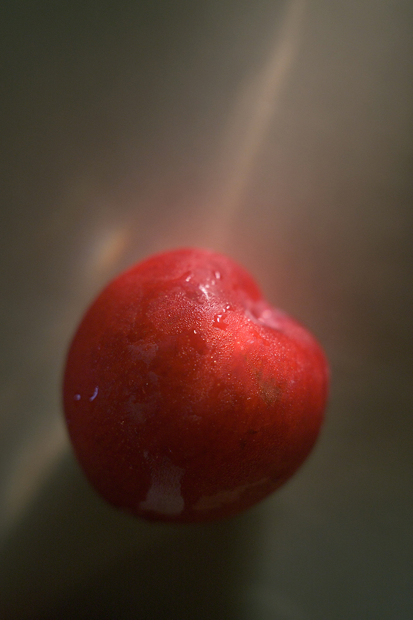 野口 花梨 Karin Noguchi×NIKKOR Z 24-70mm f/2.8 S II作品