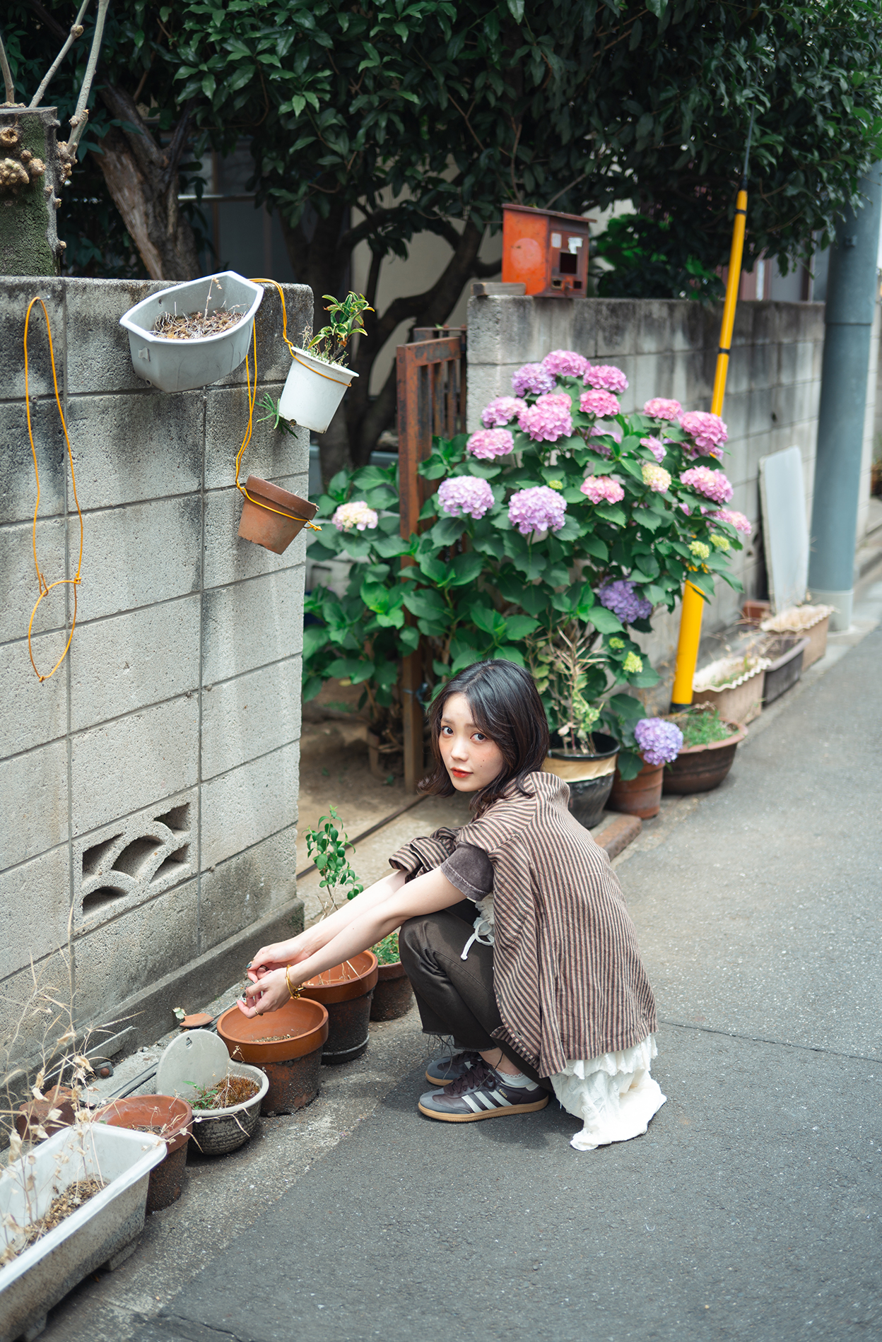 たいせい Taisei×NIKKOR Z 40mm f/2作品
