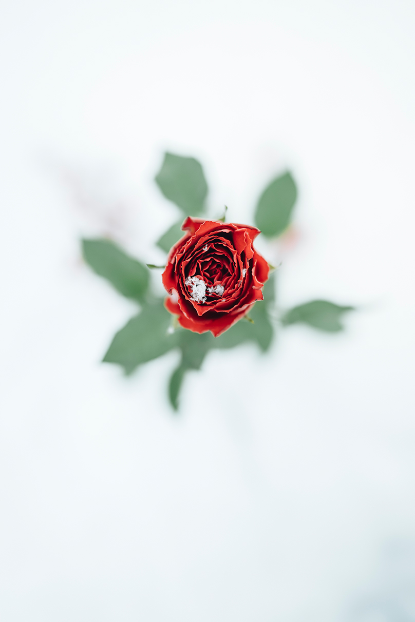 高橋 伸哉 Shinya Takahashi×NIKKOR Z 35mm f/1.2 S作品