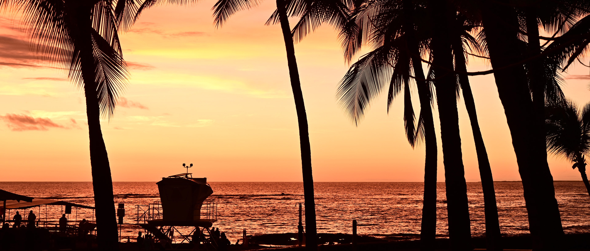 山口 規子×NIKKOR Z 50mm f/1.8 Sメイン作例写真