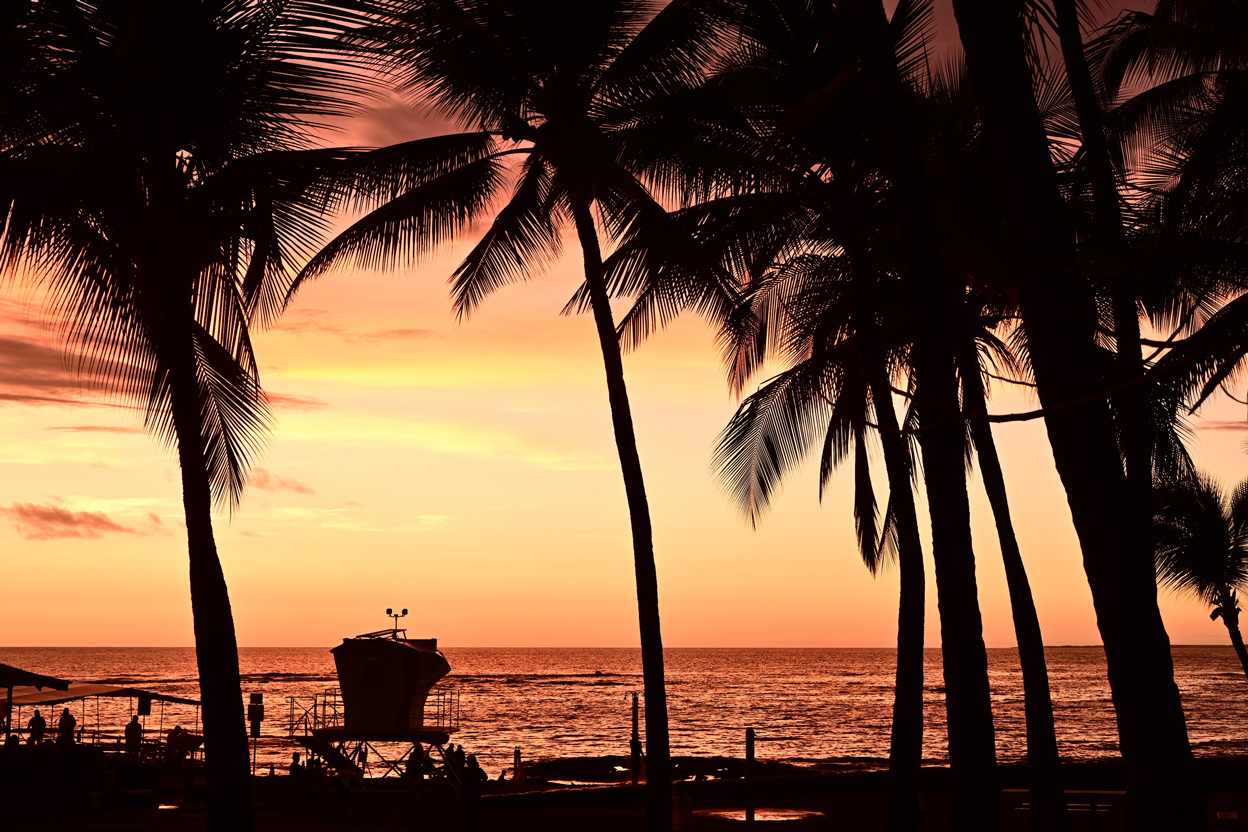 山口 規子×NIKKOR Z 50mm f/1.8 S作品