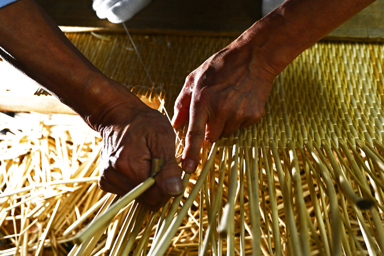 山口 規子×NIKKOR Z 50mm f/1.8 S作品