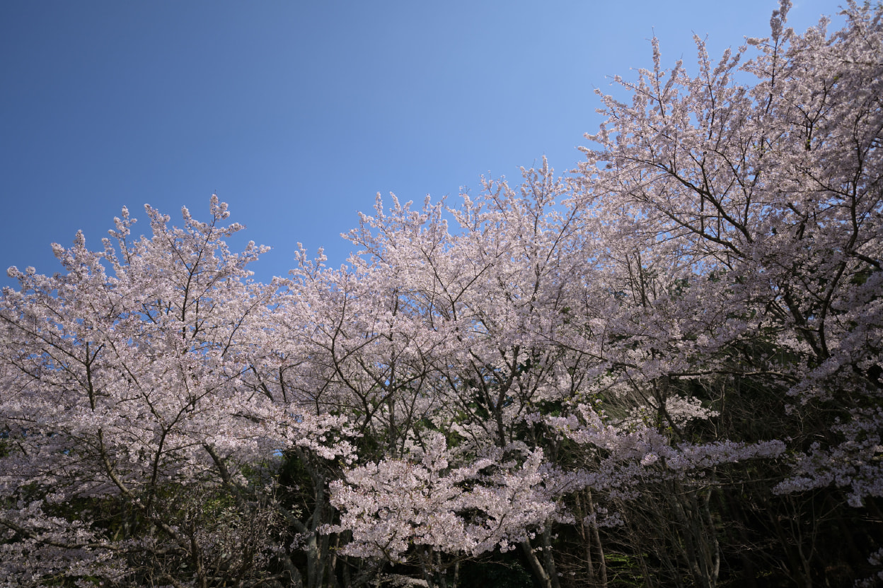 山野 泰照×NIKKOR Z 20mm f/1.8 S作品