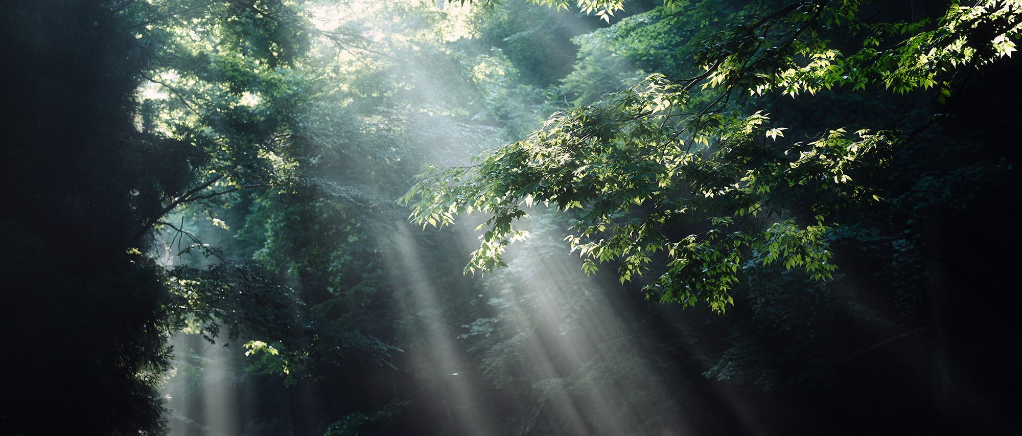 yukkey Takayuki Yoshikawa×NIKKOR Z 24-70mm f/2.8 S IIメイン作例写真