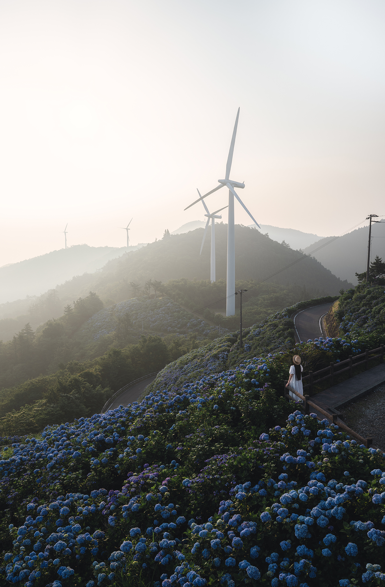 yukkey Takayuki Yoshikawa×NIKKOR Z 24-70mm f/2.8 S II作品