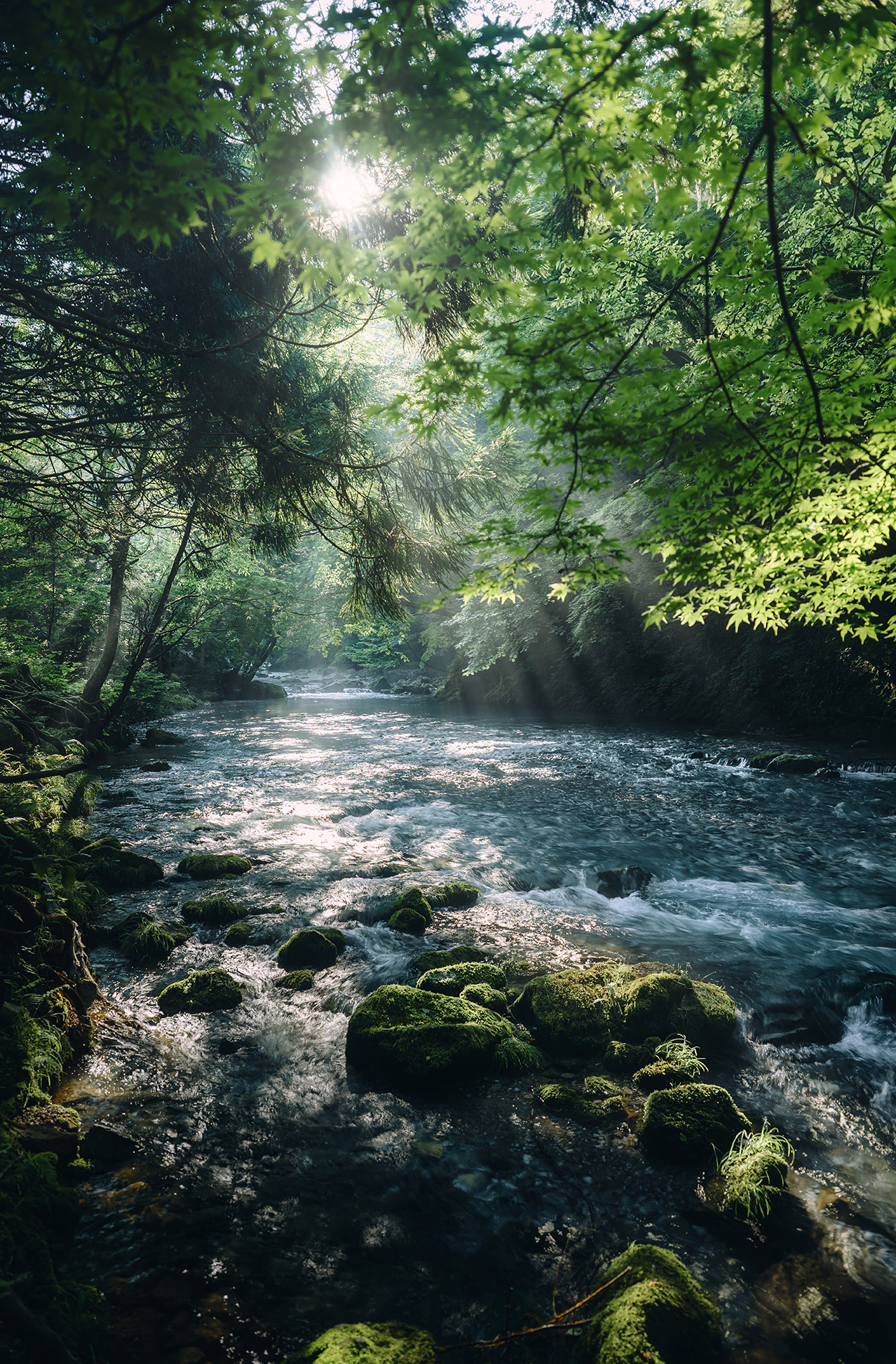 yukkey Takayuki Yoshikawa×NIKKOR Z 24-70mm f/2.8 S II作品