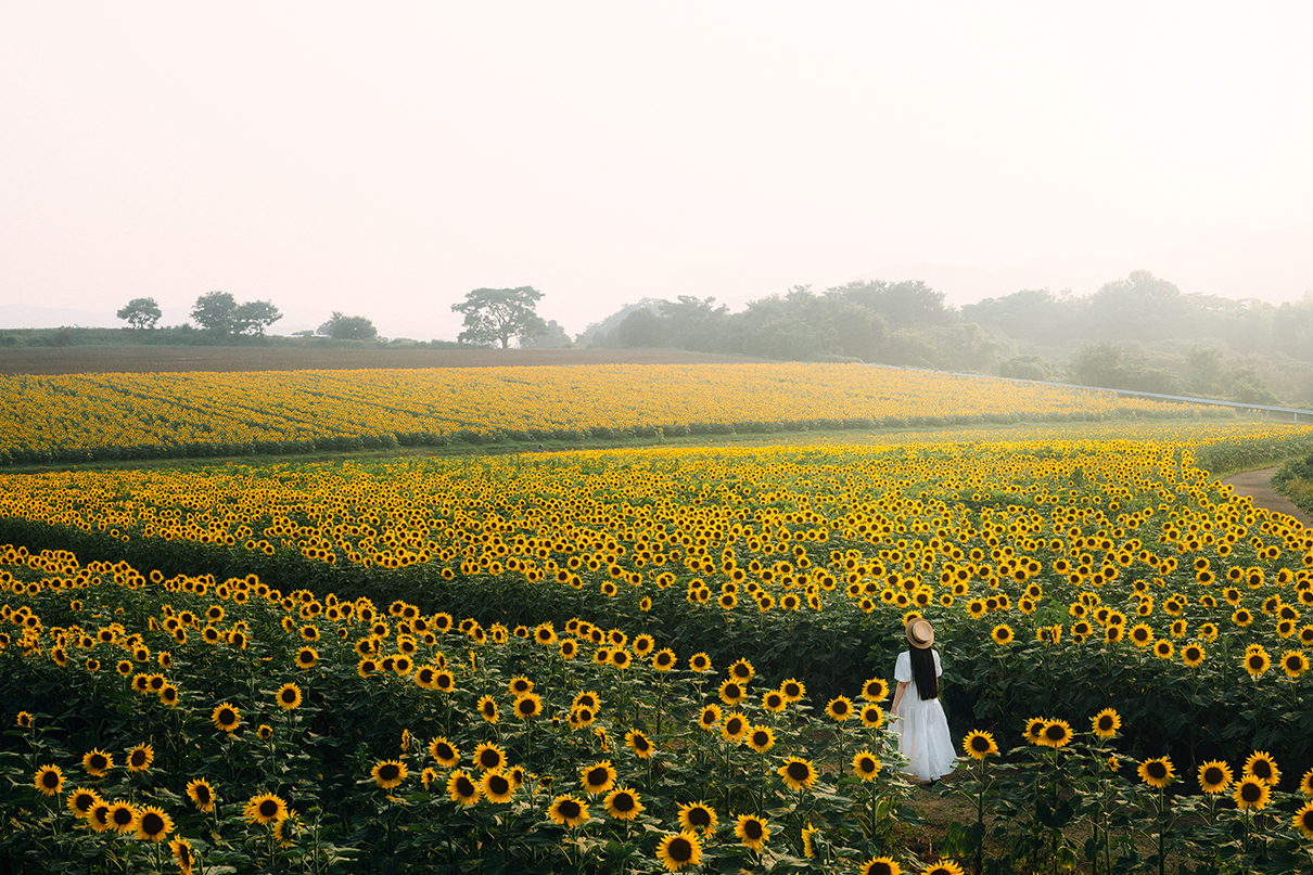 yukkey Takayuki Yoshikawa×NIKKOR Z 24-70mm f/2.8 S II作品
