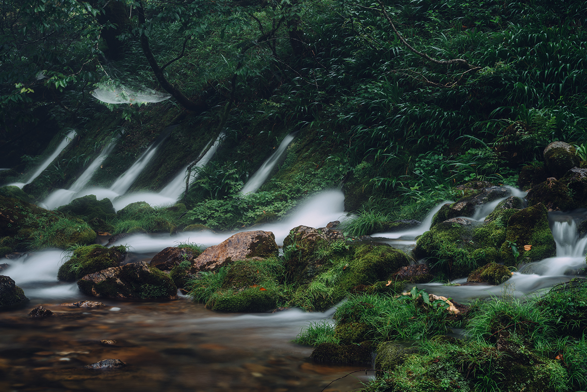 yukkey Takayuki Yoshikawa×NIKKOR Z 24-70mm f/2.8 S II作品