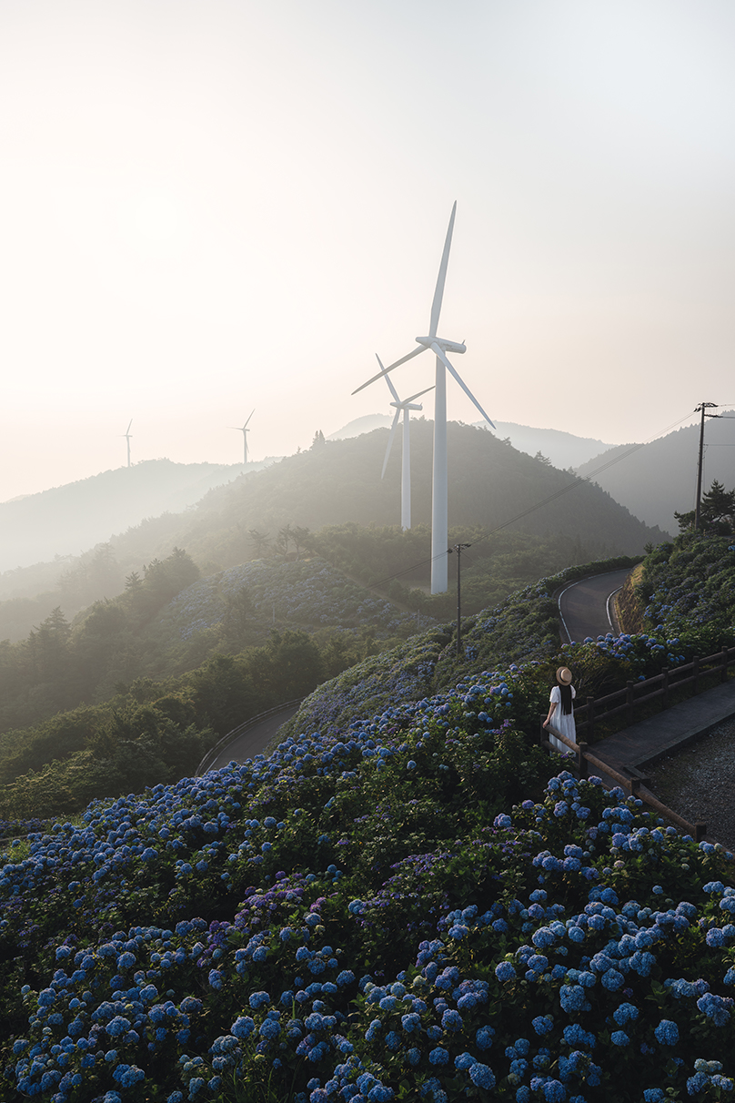 yukkey Takayuki Yoshikawa×NIKKOR Z 24-70mm f/2.8 S II作品