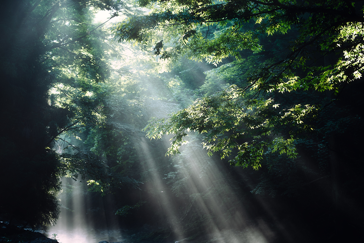 yukkey Takayuki Yoshikawa×NIKKOR Z 24-70mm f/2.8 S II作品