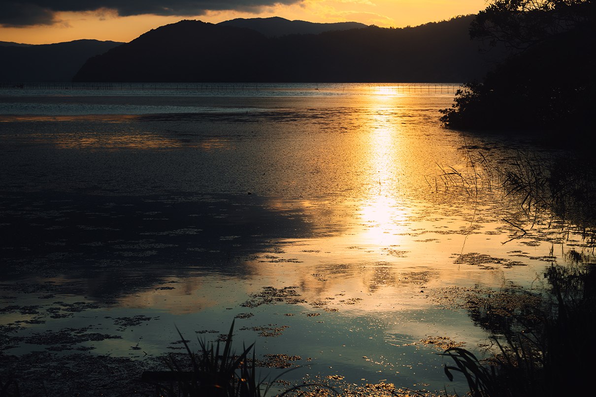 yukkey Takayuki Yoshikawa×NIKKOR Z 24-70mm f/2.8 S II作品