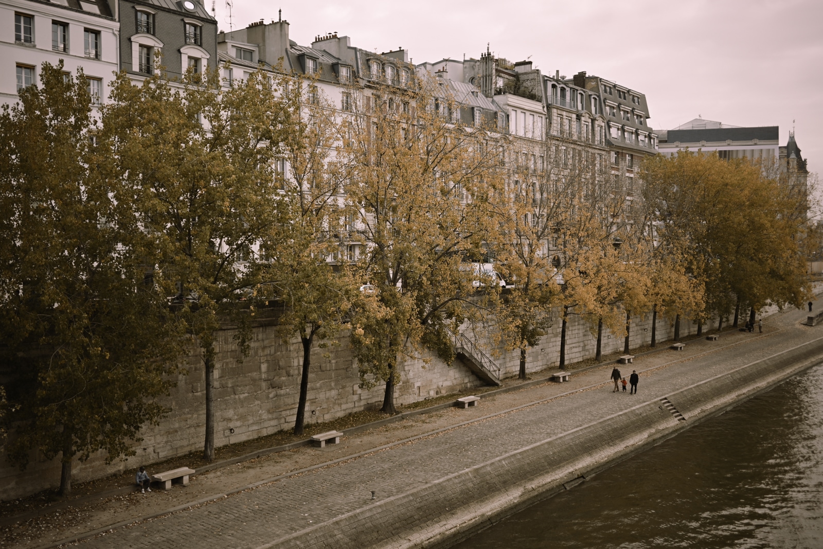 Nikon Z50IIでコムロミホが撮影した写真