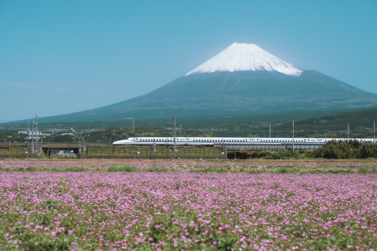 Nikon Z6IIでAYANCEが撮影した写真