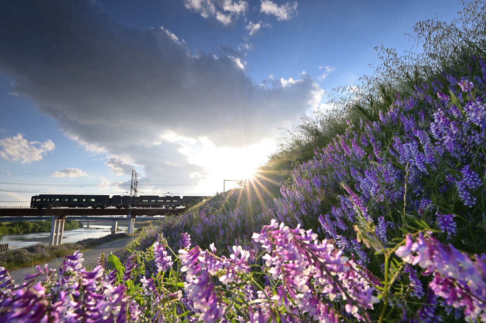 Nikon Z6IIで助川康史が撮影した写真