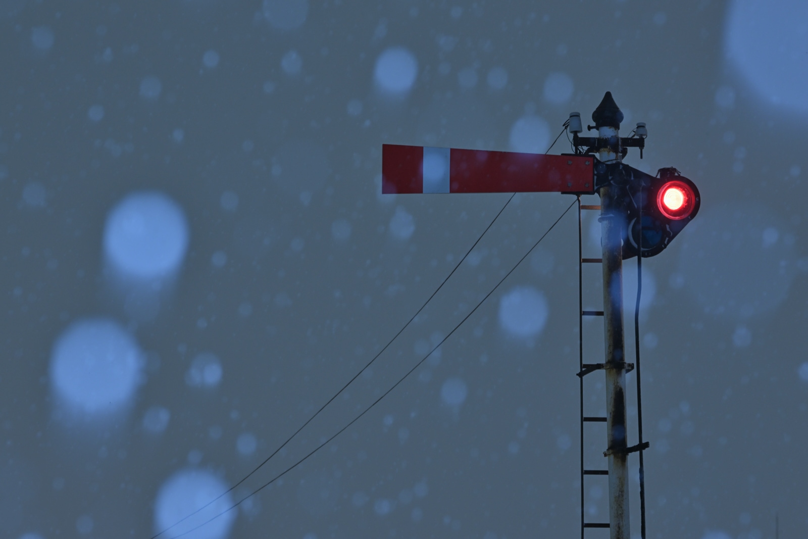 Nikon Z9で助川康史が撮影した写真