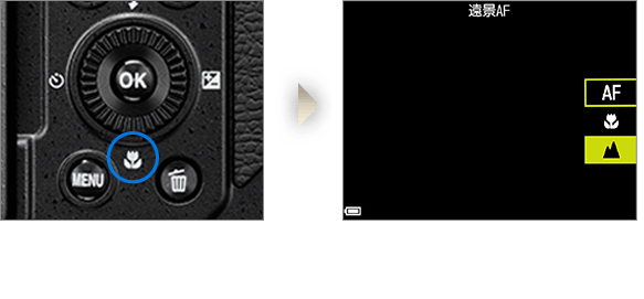 遠景AFイメージ