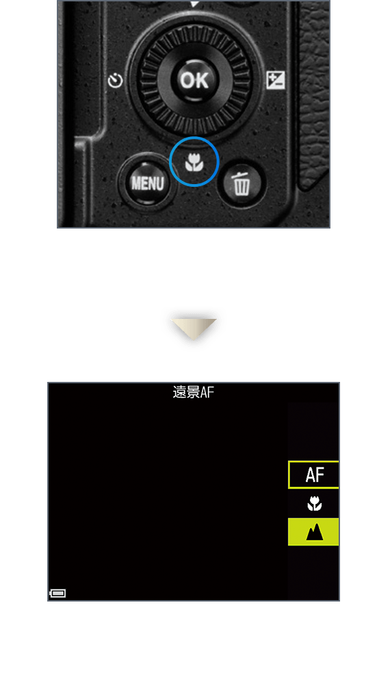 遠景AFイメージ