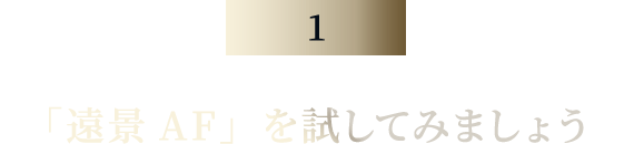 「遠景AF」を試してみましょう