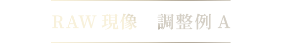 RAW現像 調整例A
