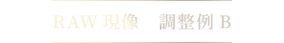RAW現像 調整例B