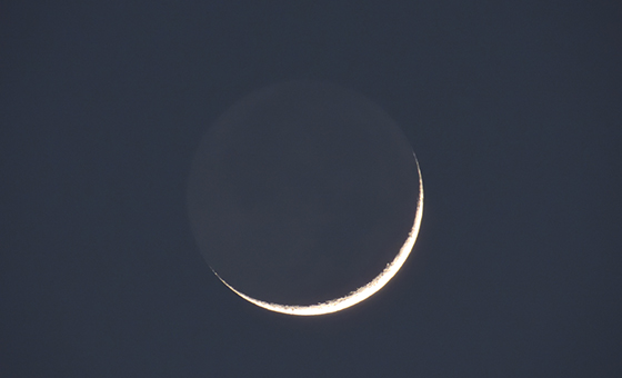 ●カメラ：COOLPIX P1000 ●焦点距離：約1500mm相当（35mm判換算）●撮影モード：マニュアル、1/1.6 秒、f/6.3 ●ホワイトバランス：4300K ●ISO感度：400 ●ピクチャーコントロール：スタンダード