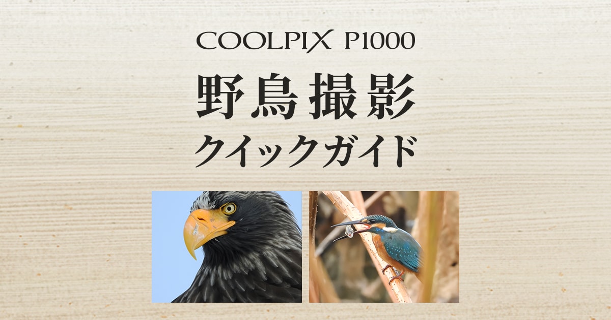 COOLPIX P1100 野鳥撮影クイックガイド | ニコン