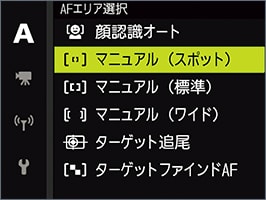 マニュアル（スポット）