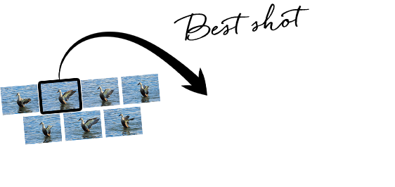 連写モードで撮影