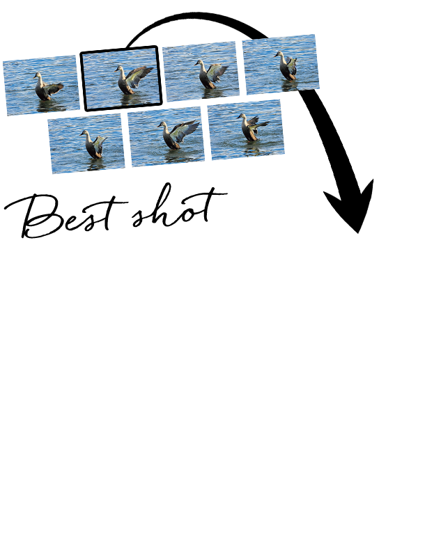 連写モードで撮影