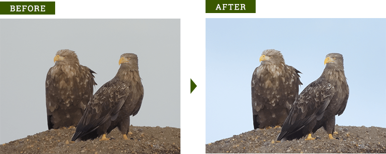 RAW現像 調整例B