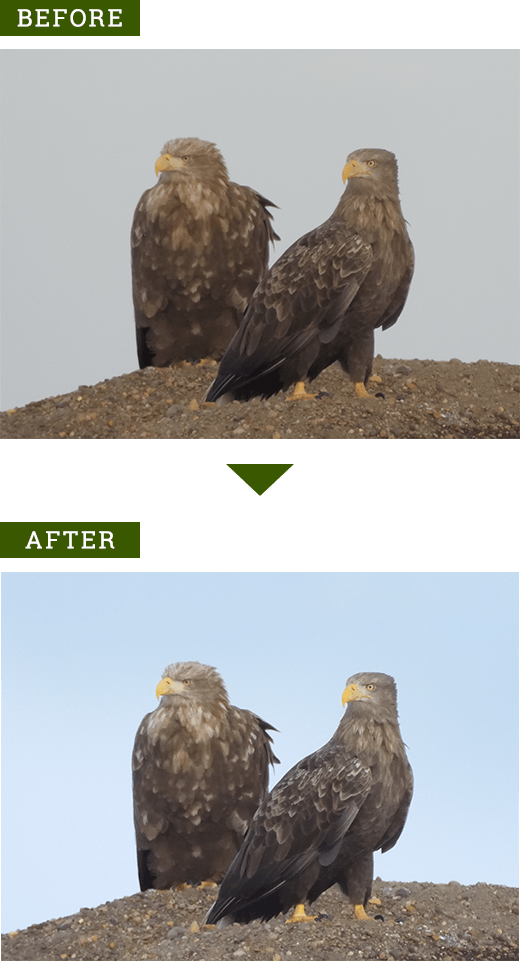 RAW現像 調整例B