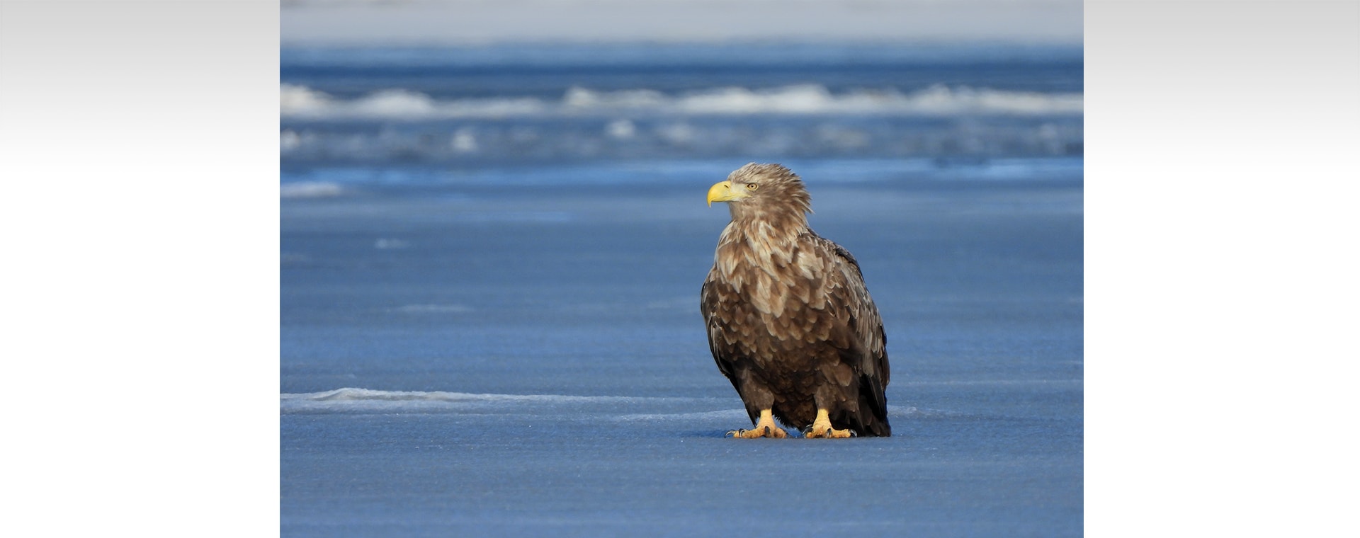 メインビジュアル4