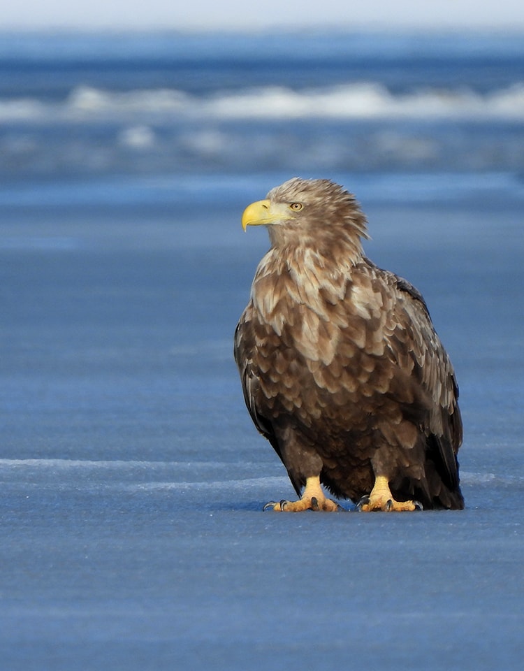 メインビジュアル4