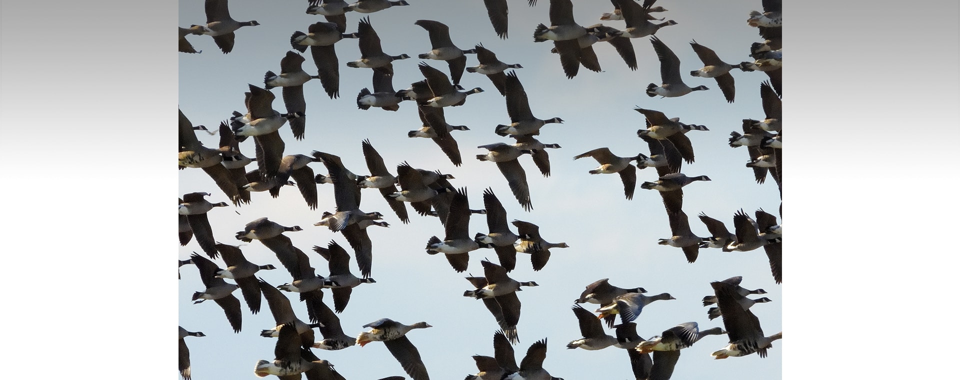 メインビジュアル3