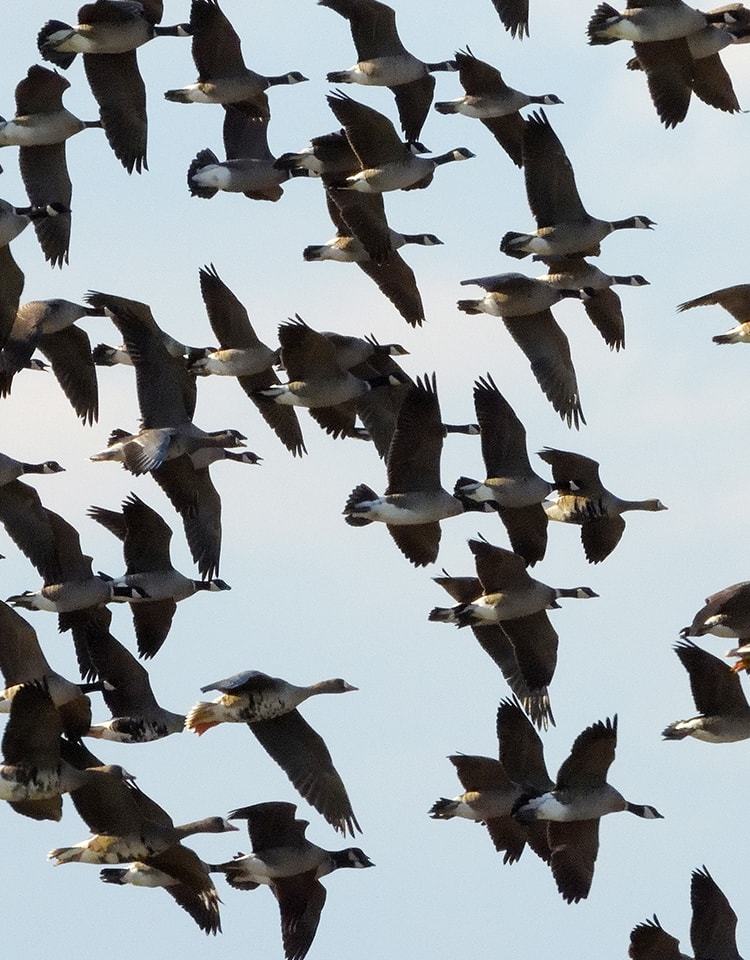 メインビジュアル3