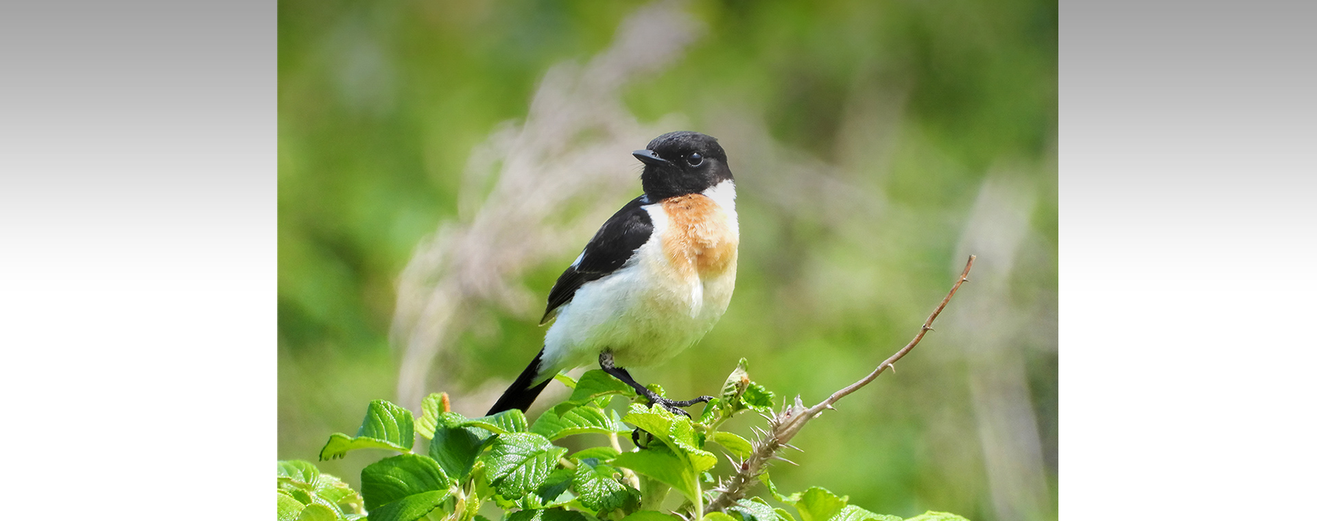 メインビジュアル2