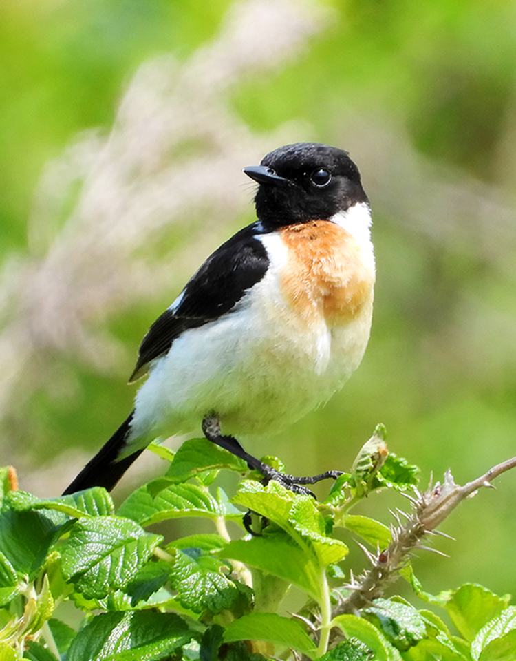 メインビジュアル2