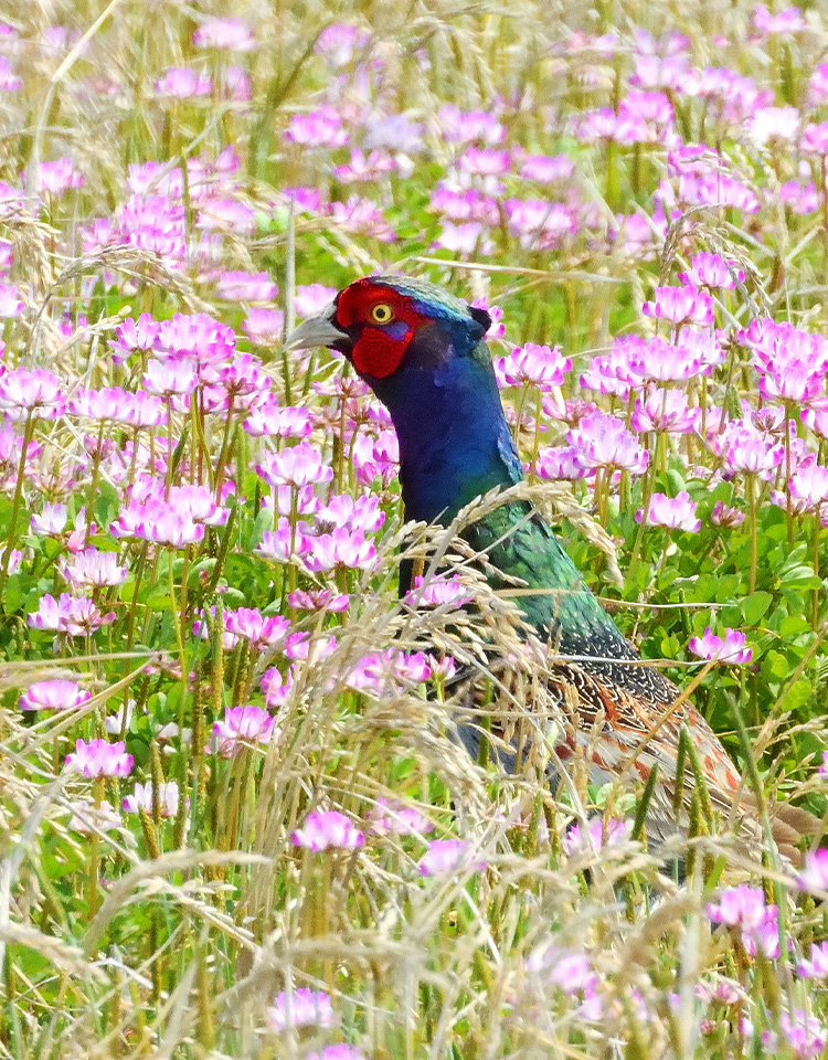 メインビジュアル5