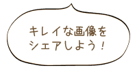 キレイな画像をシェアしよう！