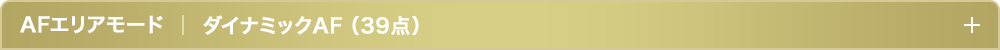 AFエリアモードダイナミックAF（39点）