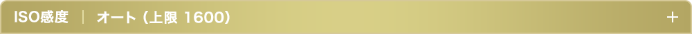 ISO感度オート（上限 1600）