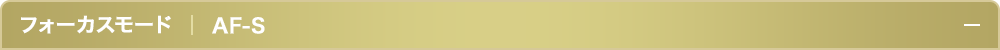 フォーカスモードAF-S