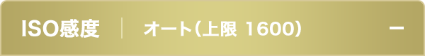 ISO感度オート（上限 1600）