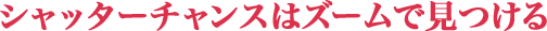 シャッターチャンスはズームで見つける