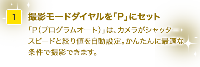 「P（プログラムオート）」は、カメラがシャッタースピードと絞り値を自動設定。かんたんに最適な条件で撮影できます。