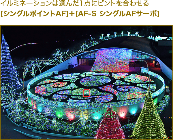 イルミネーションは選んだ1点にピントを合わせる[シングルポイントAF]＋[AF-S シングルAFサーボ]