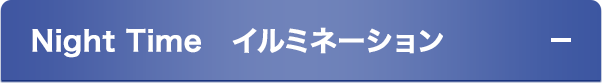 Night Time　イルミネーション