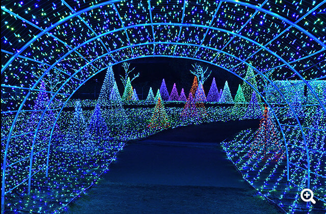 ●カメラ: D5600 ●レンズ: AF-S DX NIKKOR 35mm f/1.8G ●撮影モード: プログラムオート、1/60秒、f/3.2 ●ホワイトバランス: 電球 ●ISO感度: オート（ISO 400）