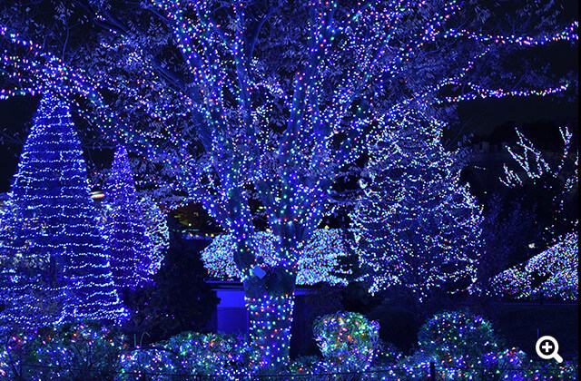 ●カメラ: D5600 ●レンズ: AF-S DX NIKKOR 35mm f/1.8G ●撮影モード: プログラムオート、1/60秒、f/1.8 ●ホワイトバランス: 電球 ●ISO感度: オート（ISO 560）